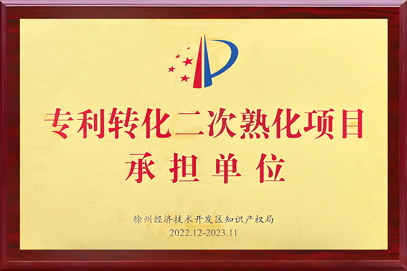 專利轉(zhuǎn)化二次熟化項目承擔(dān)單位